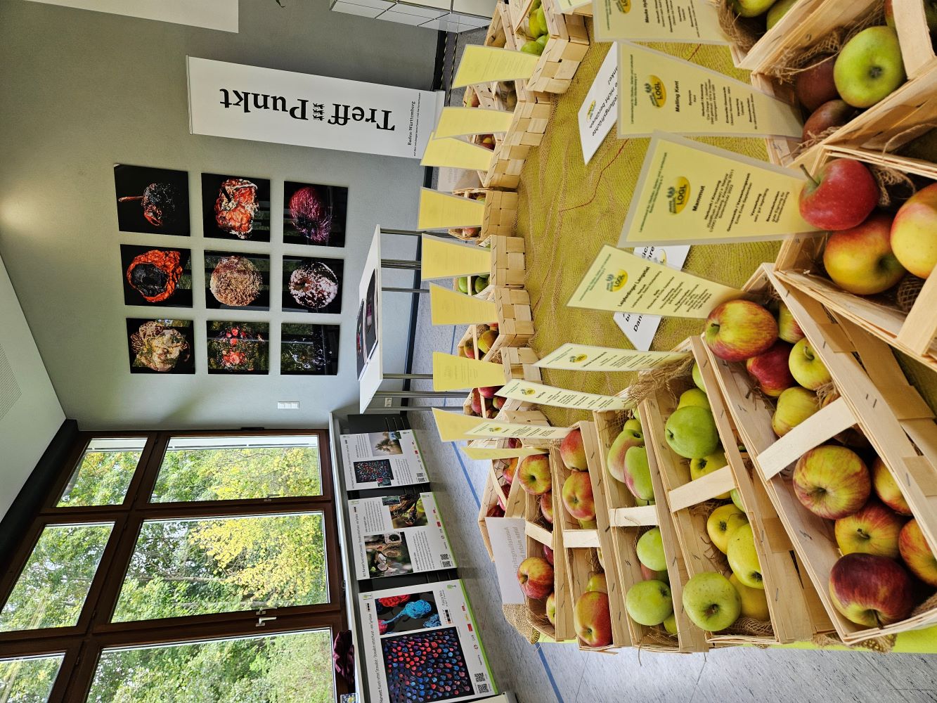 20250930 Obstsortenaustellung GMI2